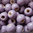 Keramikperle kleine Kugel BGS25 lavendel lack